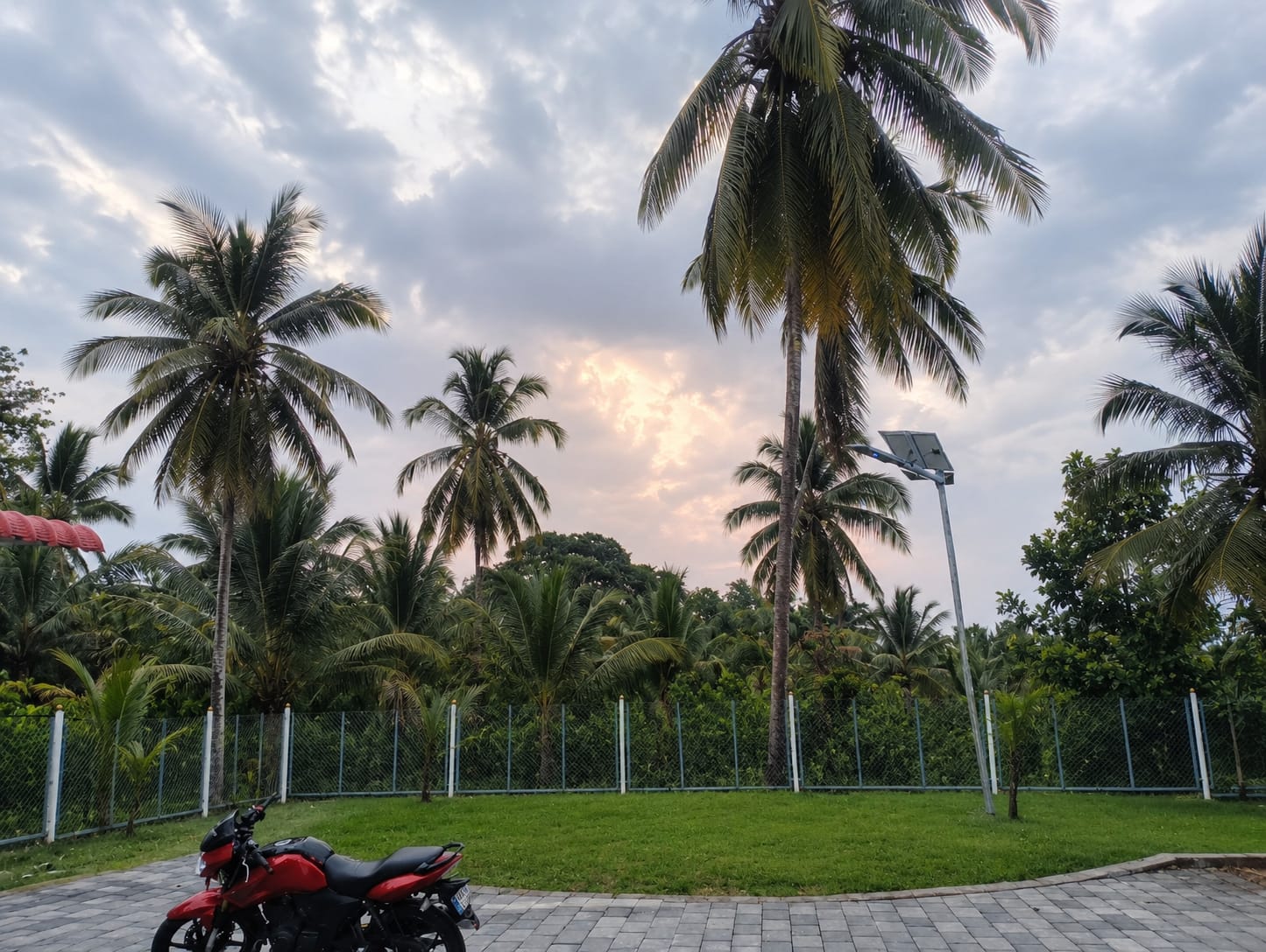 Farm Activities